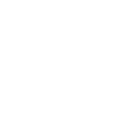 David Puhony - Logo